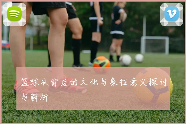 篮球衣背后的文化与象征意义探讨与解析