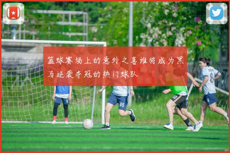 篮球赛场上的意外之喜谁将成为黑马逆袭夺冠的热门球队