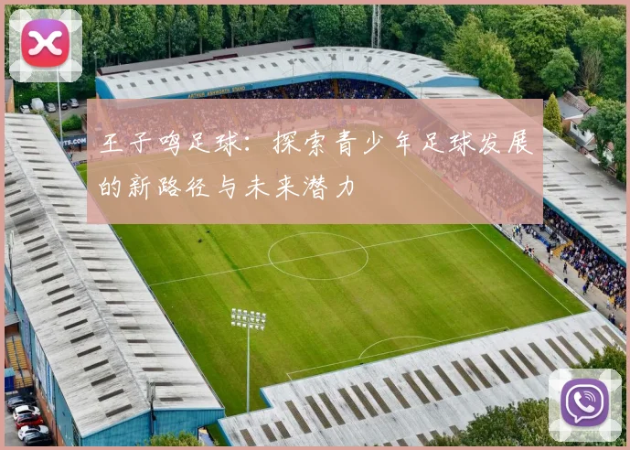 王子鸣足球：探索青少年足球发展的新路径与未来潜力
